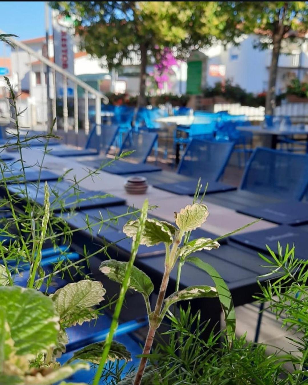 Apartments Ars Vivendi Trogir Eksteriør bilde
